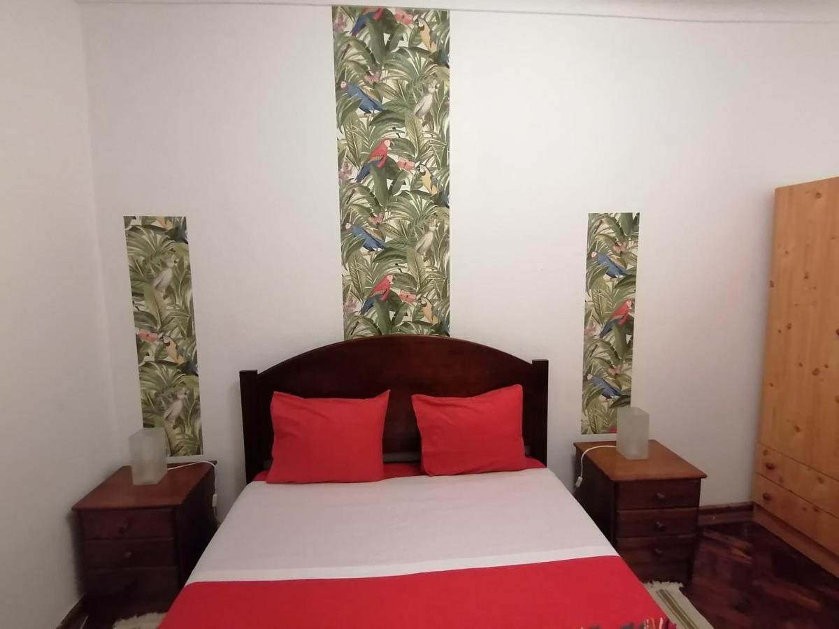 Cozy Central 蓬塔德尔加达 外观 照片