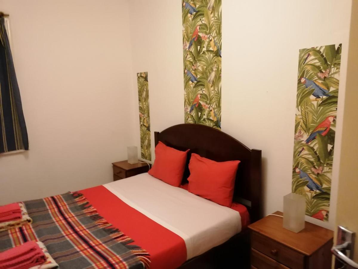Cozy Central 蓬塔德尔加达 外观 照片